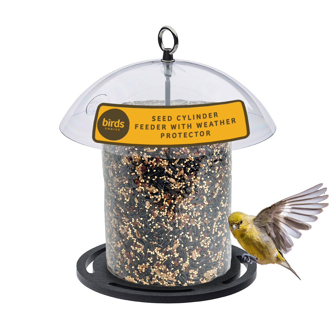 Recycled Plastic Seed Cylinder Feeder