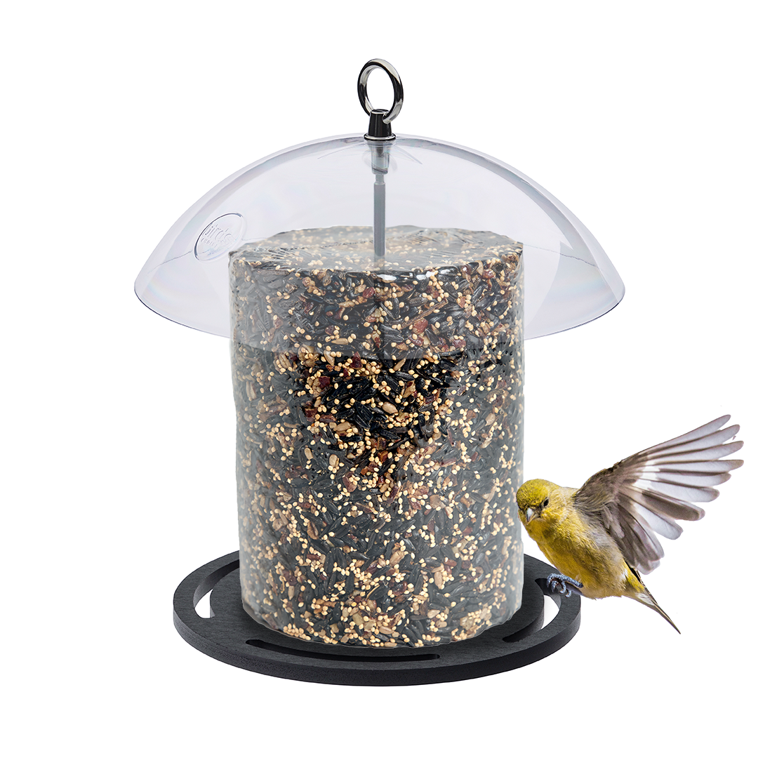 Recycled Plastic Seed Cylinder Feeder