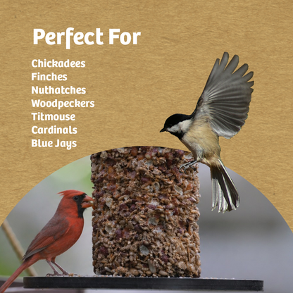 Recycled Plastic Seed Cylinder Feeder