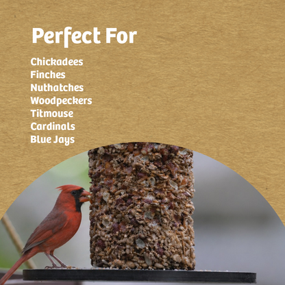 Recycled Plastic Seed Cylinder Feeder