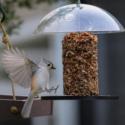 Recycled Plastic Seed Cylinder Feeder