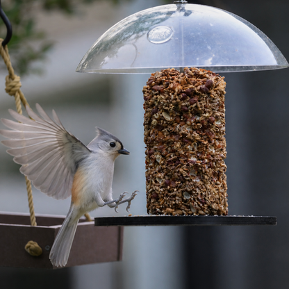 Recycled Plastic Seed Cylinder Feeder