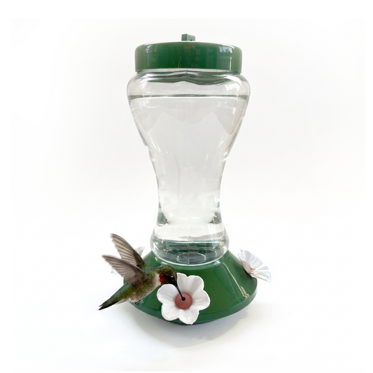 Green Base Hummingbird Feeder