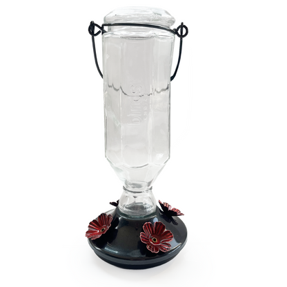 Black Base Hummingbird Feeder