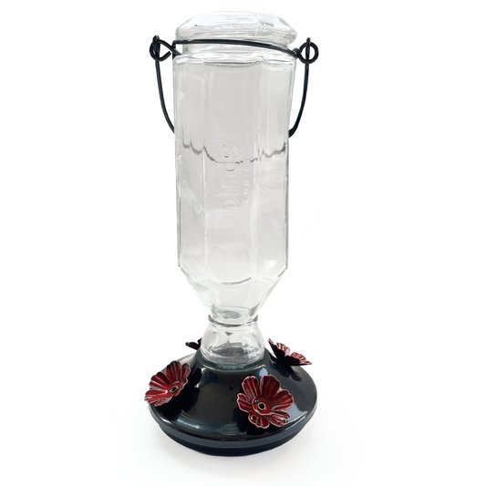 Black Base Hummingbird Feeder