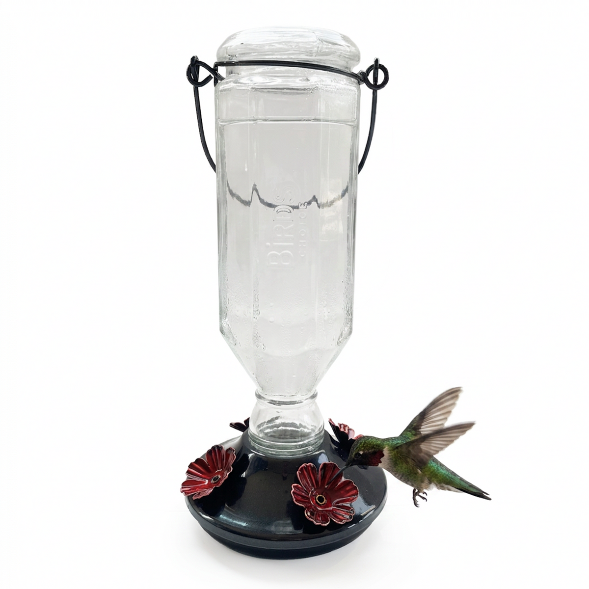 Black Base Hummingbird Feeder