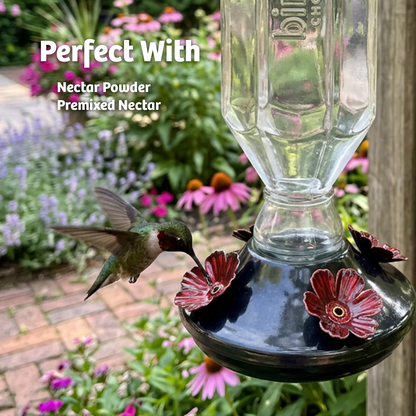 Black Base Hummingbird Feeder