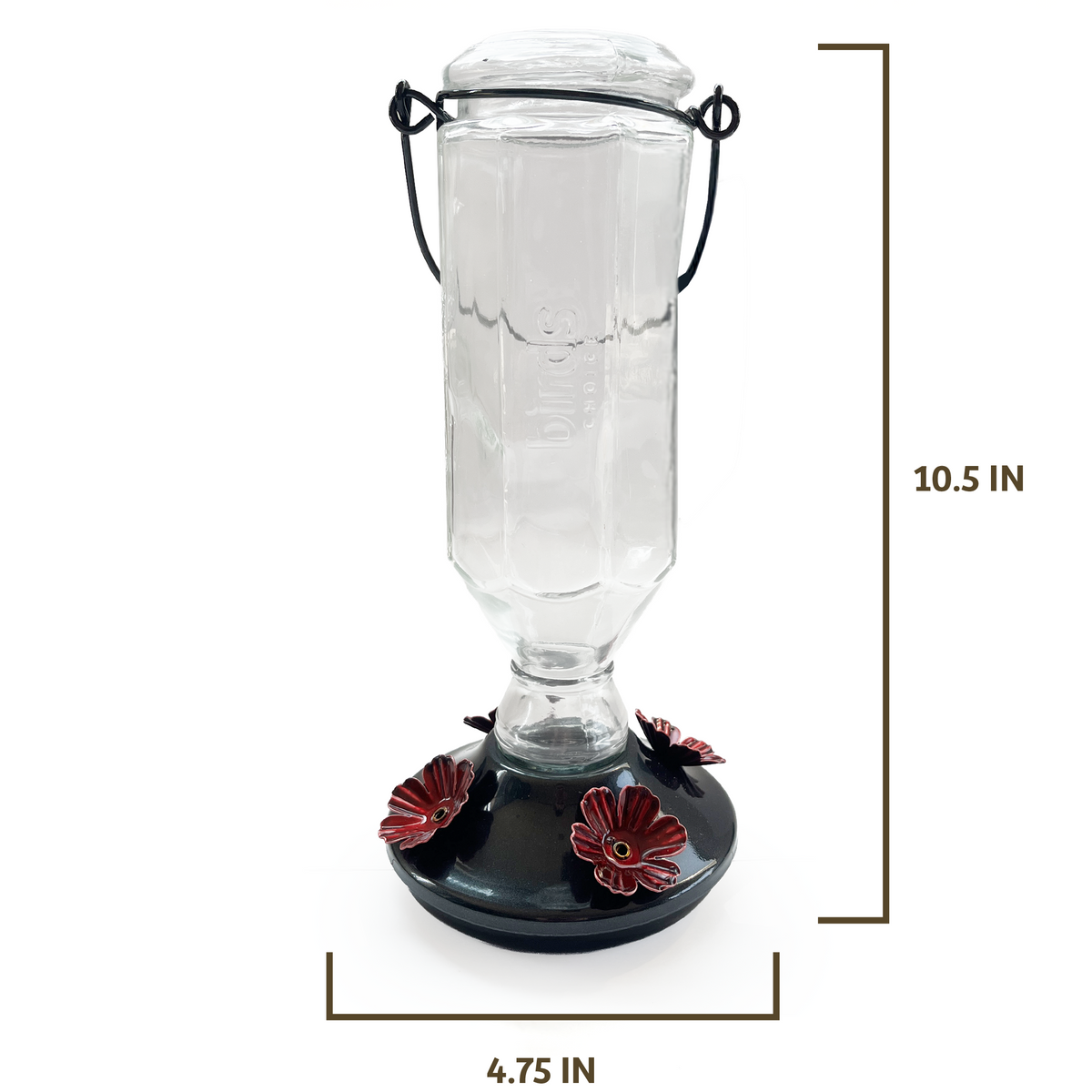 Black Base Hummingbird Feeder
