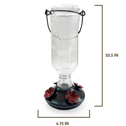 Black Base Hummingbird Feeder