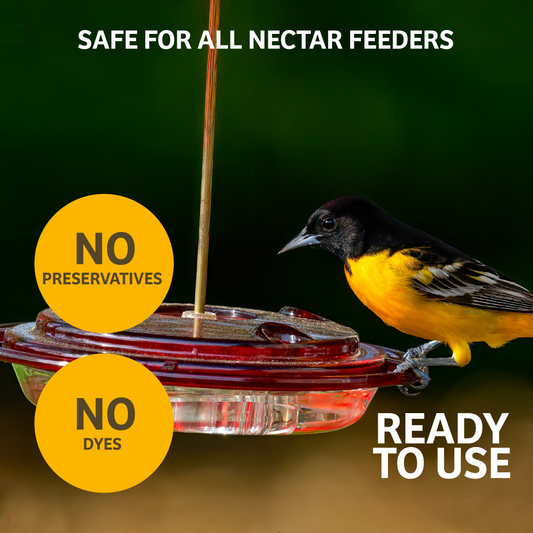 Hummingbird Nectar 64 oz. Bottle