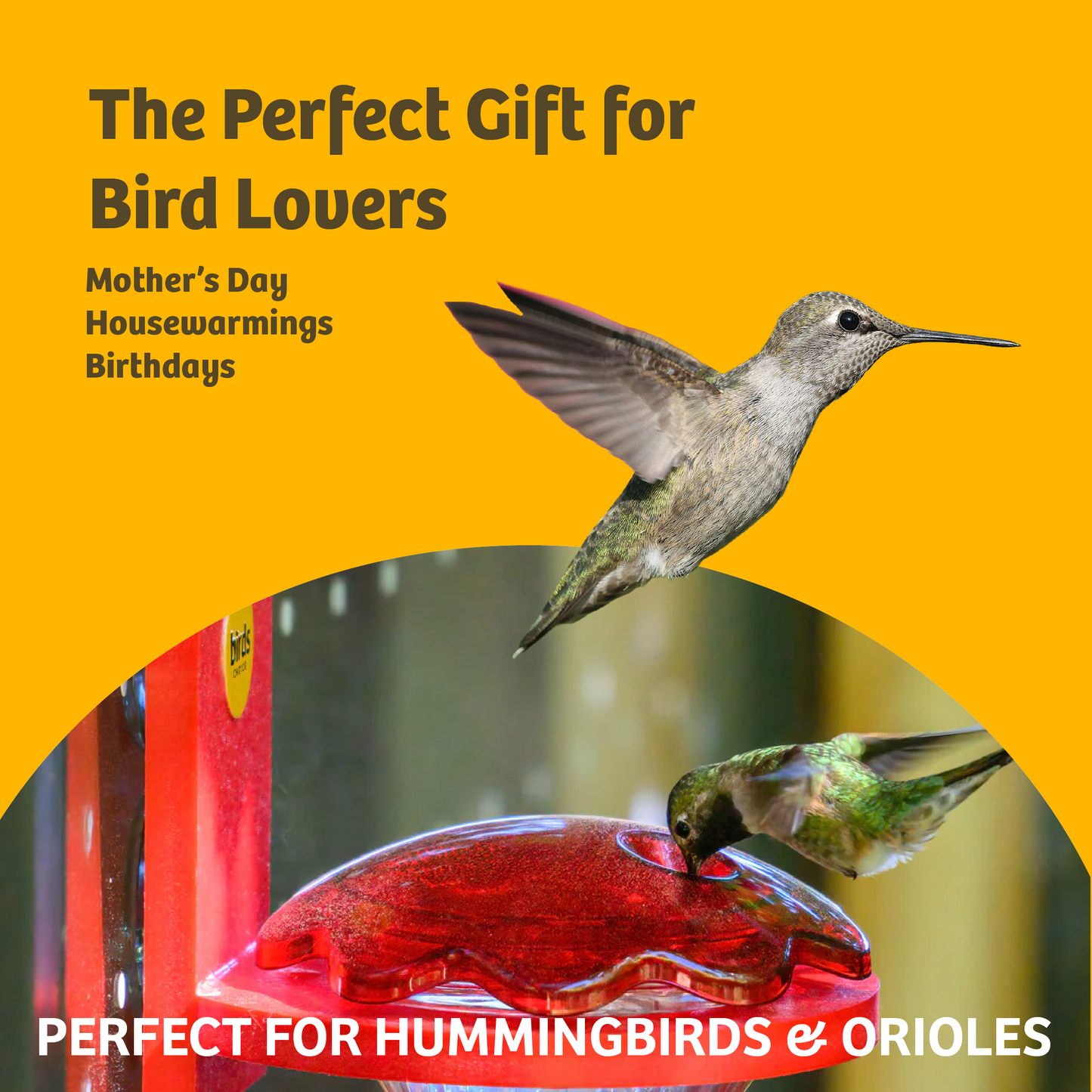 Hummingbird Nectar 64 oz. Bottle