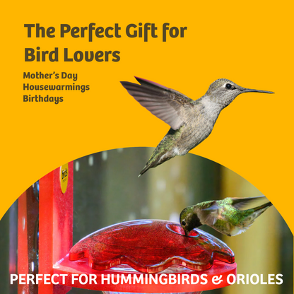 Hummingbird Nectar 64 oz. Bottle