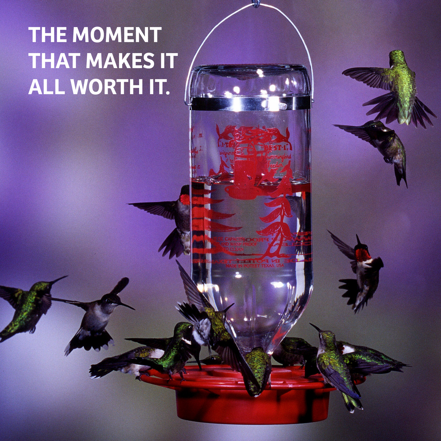 Hummingbird Nectar 64 oz. Bottle