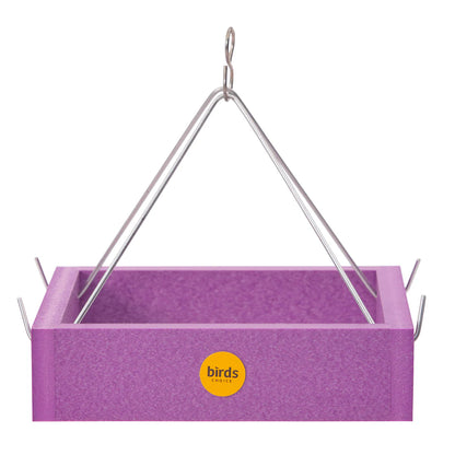 Lupus Foundation of America Small Hanging Tray Bird Feeder in Purple Recycled Plastic-Limited Edition