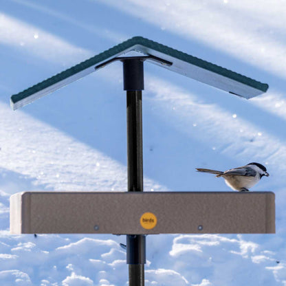 Roof Tray Topper w/ Flange in Green Recycled Plastic - Birds Choice