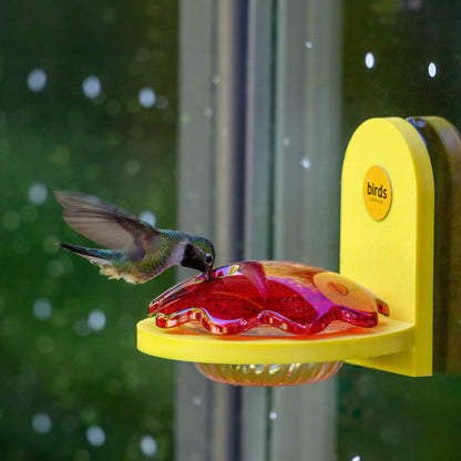 Window Mount Hummingbird Feeder in Yellow Recycled Plastic