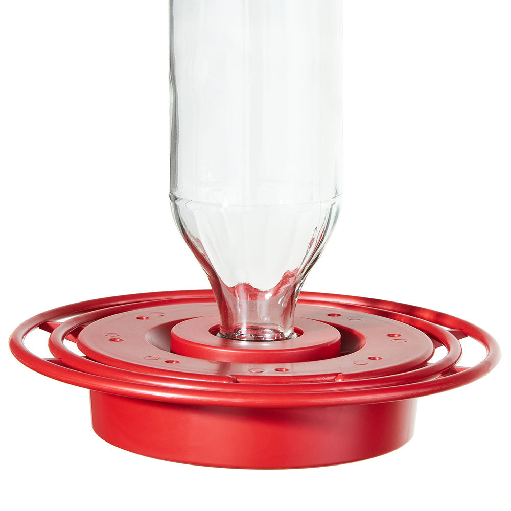 Best 1 Glass Hummingbird Feeder 8 oz. - Birds Choice