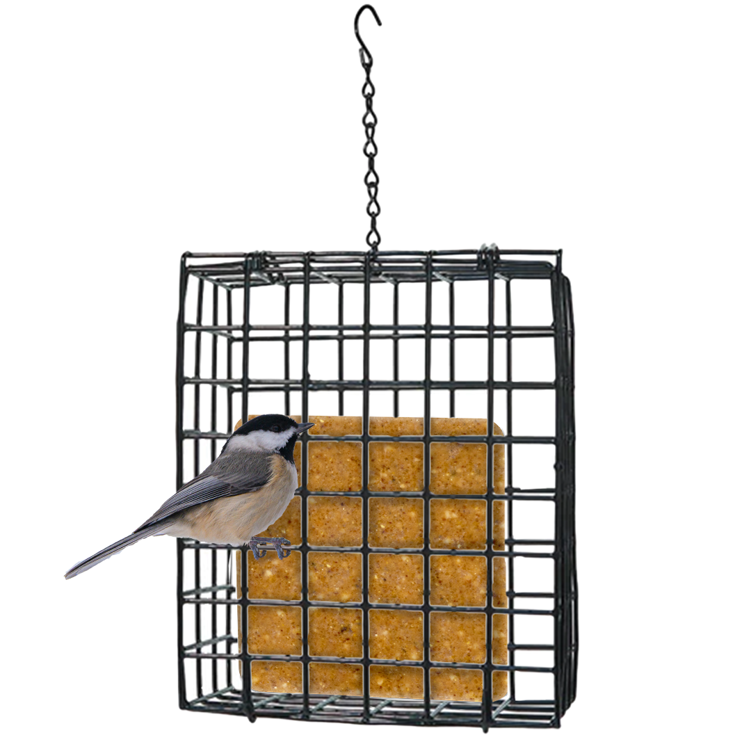 Seed and Suet Block Cage with Hanging Chain
