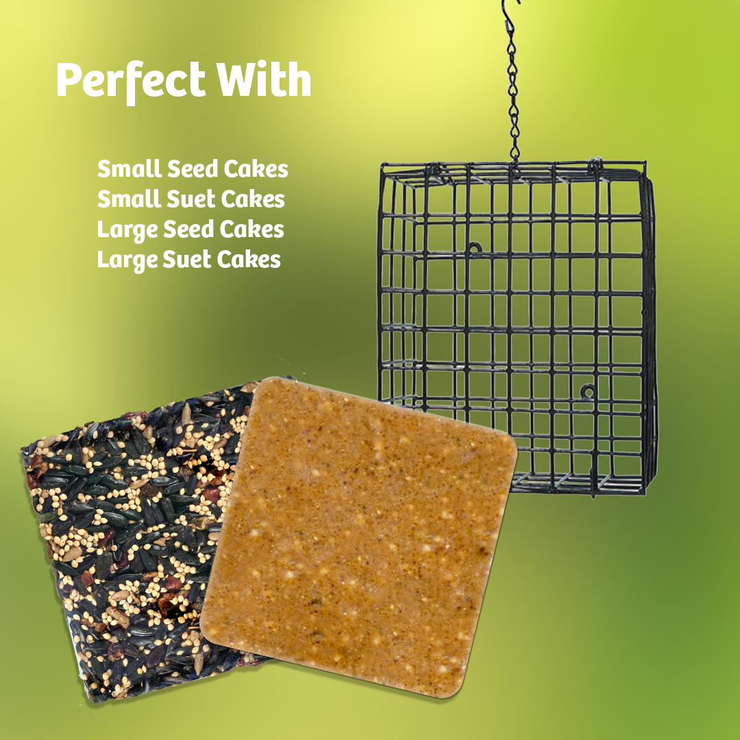 Seed and Suet Block Cage with Hanging Chain