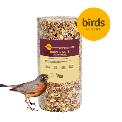 Bugs & Nuts Seed Cylinder - Small