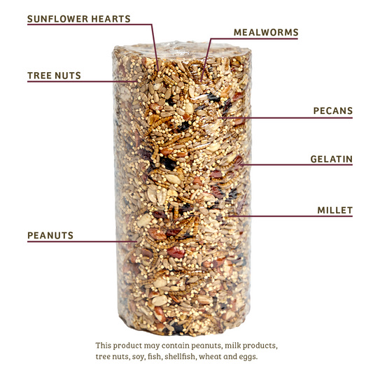 Bugs & Nuts Seed Cylinder - Small