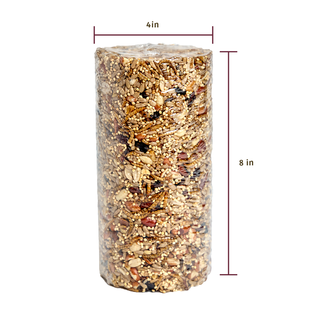 Bugs & Nuts Seed Cylinder - Small