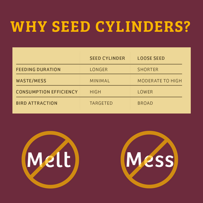 Bugs & Nuts Seed Cylinder - Small