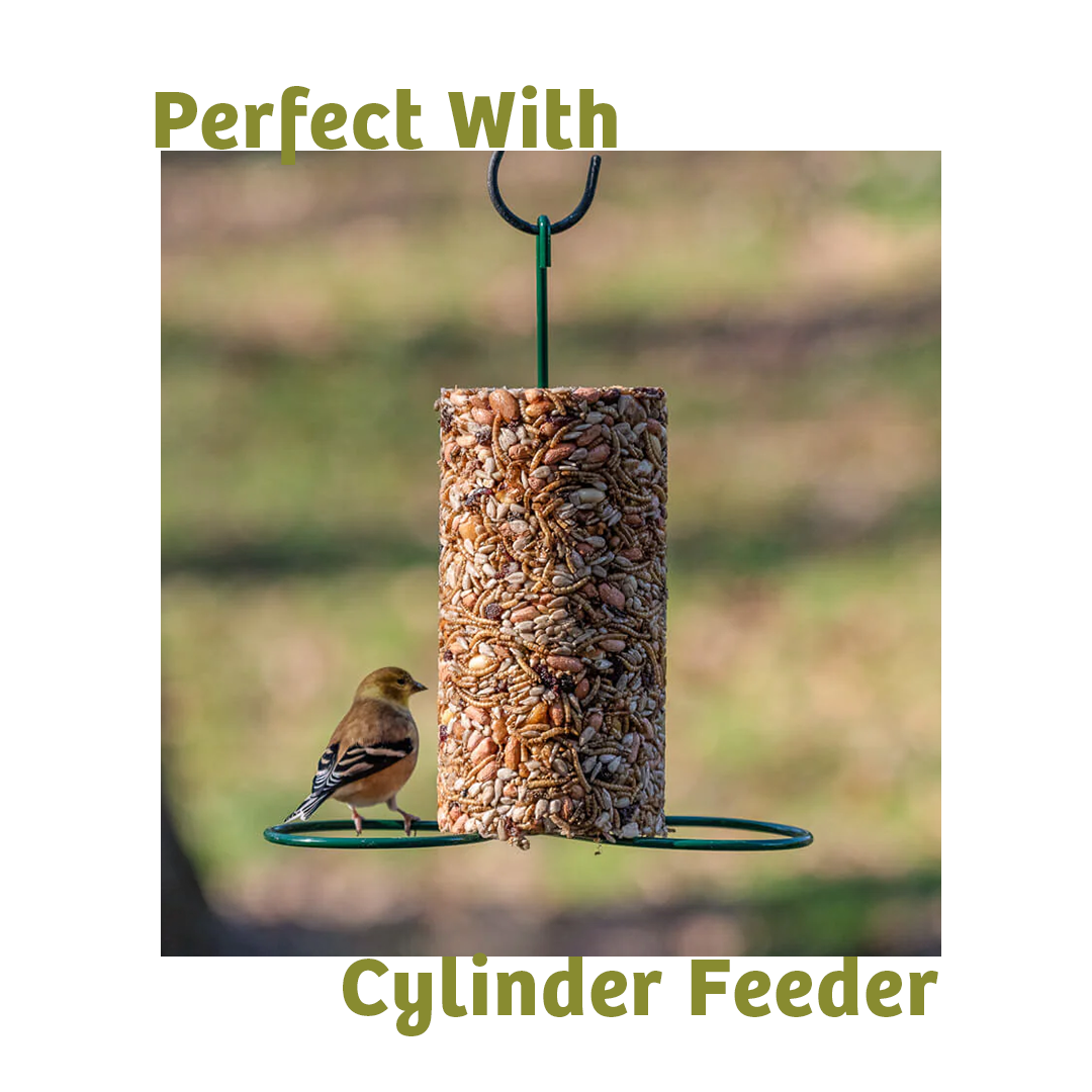 Bugs & Nuts Seed Cylinder - Small