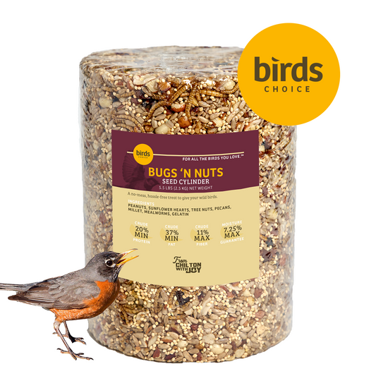 Bugs & Nuts Seed Cylinder - Large