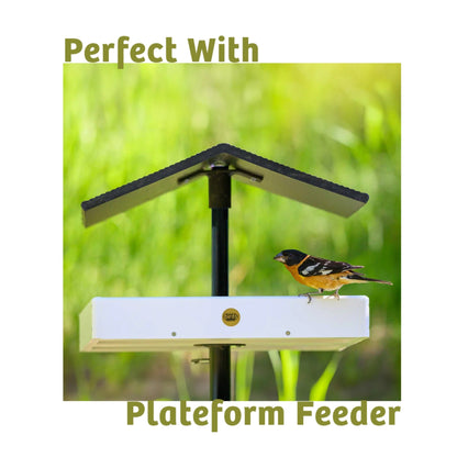 Bugs & Nuts Seed Cake