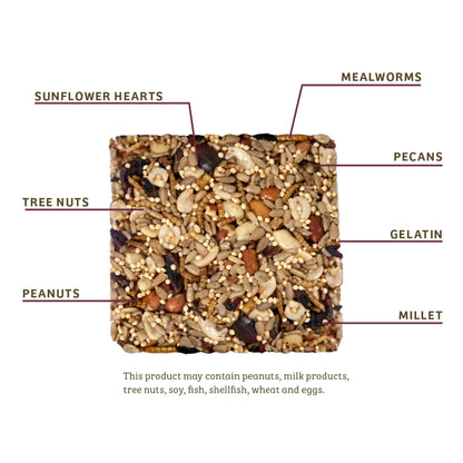 Bugs & Nuts Seed Cake