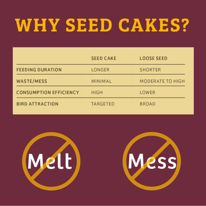 Bugs & Nuts Seed Cake