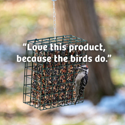 Bugs & Nuts Seed Cake