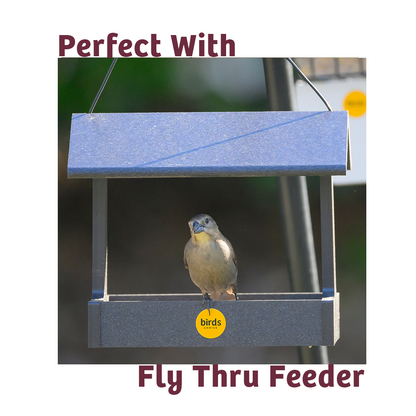 Bugs & Nuts No Melt Suet