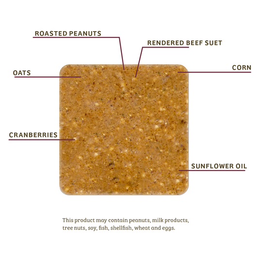 Bugs & Nuts No Melt Suet