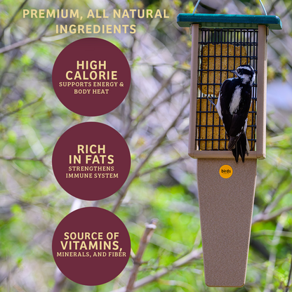 Bugs & Nuts No Melt Suet - 12 Pack