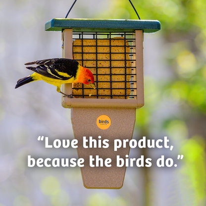 Bugs & Nuts No Melt Suet - 12 Pack
