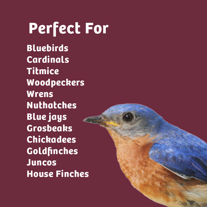 Bugs & Nuts No Melt Suet