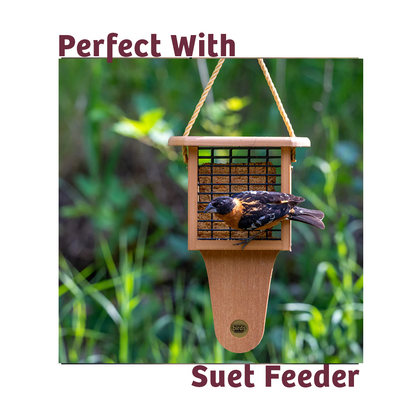 Bugs & Nuts No Melt Suet - 12 Pack