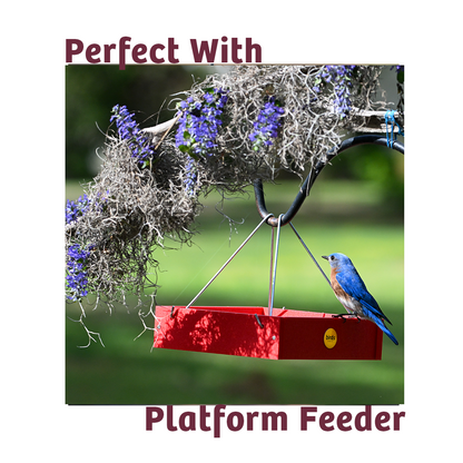 Bugs & Nuts No Melt Suet