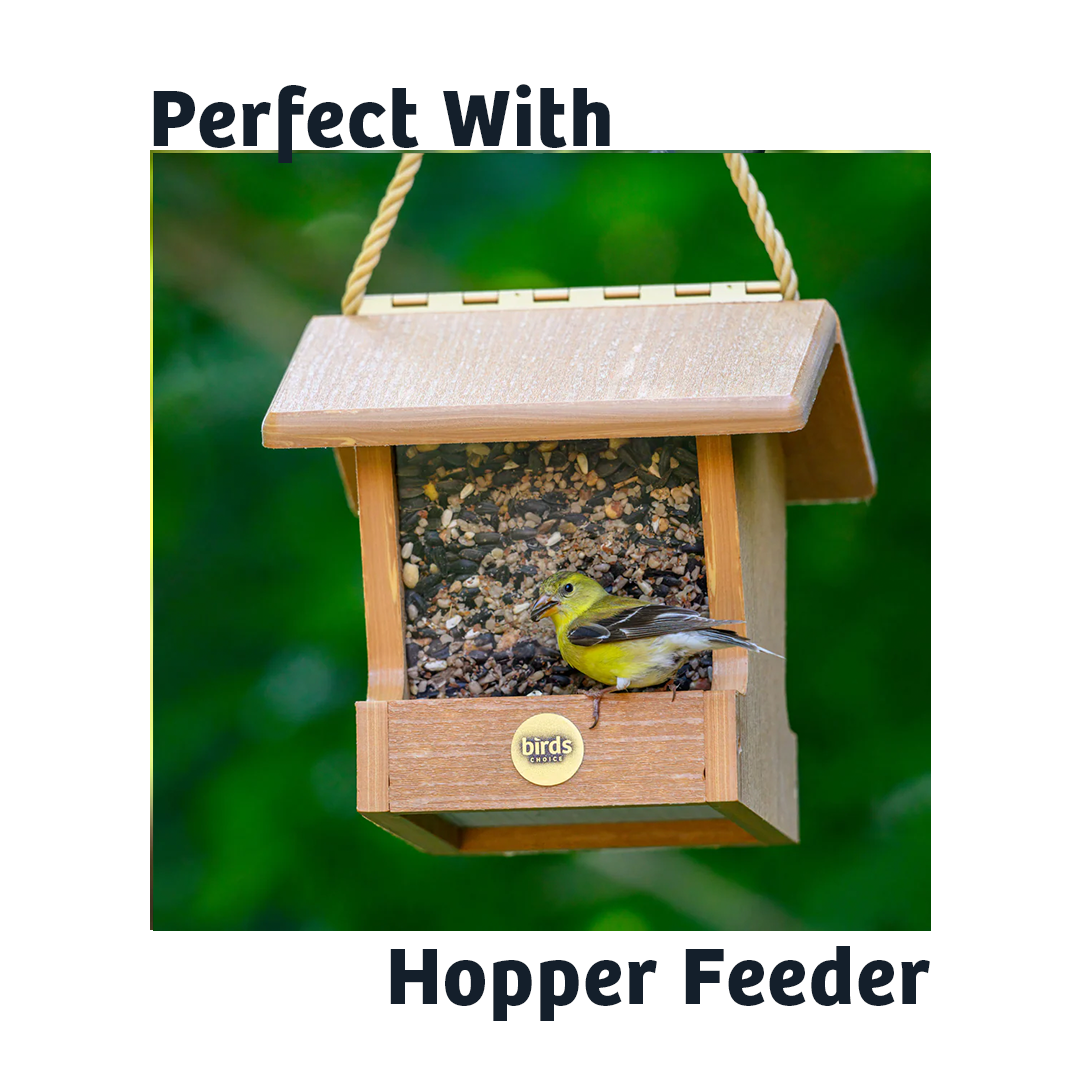 Black Oil Sunflower Wild Bird Food - 15 lbs.