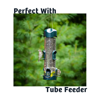 Black Oil Sunflower Wild Bird Food - 15 lbs.