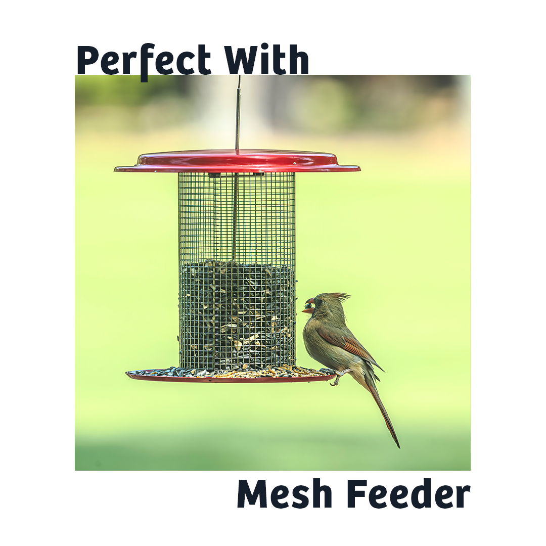 Black Oil Sunflower Wild Bird Food - 25 lbs.