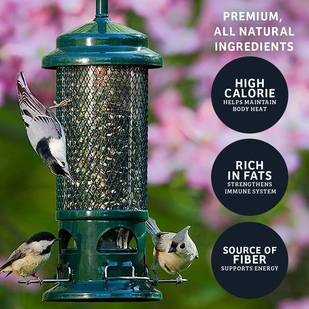 Black Oil Sunflower Wild Bird Food - 15 lbs.