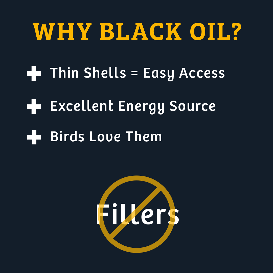 Black Oil Sunflower Wild Bird Food - 25 lbs.