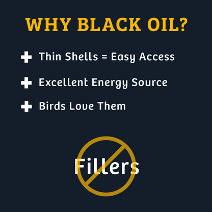 Black Oil Sunflower Wild Bird Food - 25 lbs.