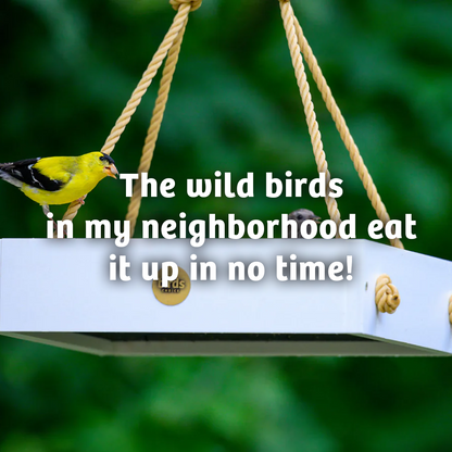 Black Oil Sunflower Wild Bird Food - 15 lbs.