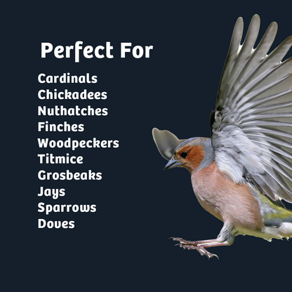 Black Oil Sunflower Wild Bird Food - 15 lbs.