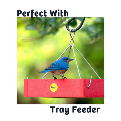 Black Oil Sunflower Wild Bird Food - 15 lbs.