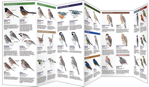 Backyard Birds Of Western North America